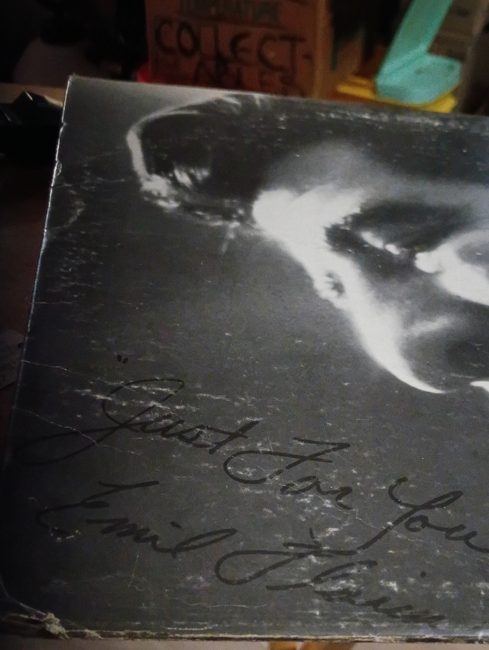 Vintage Vinyl Album